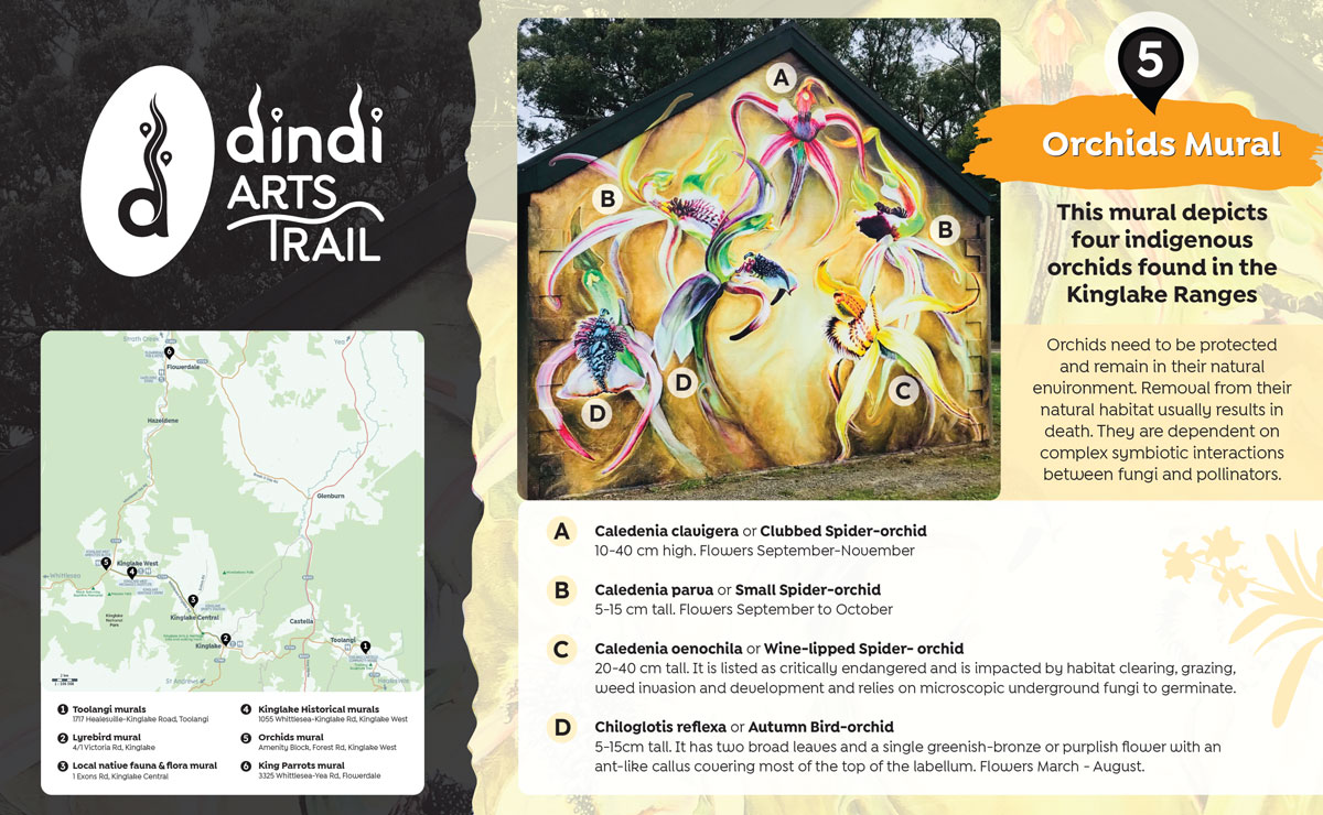 Dindi Arts Trail map design by Wildeye